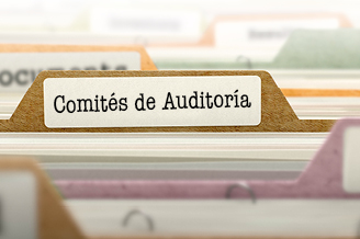 Los actuales deberes y responsabilidades de los Comités de Auditoría para las Entidades de Interés Público (EIP)