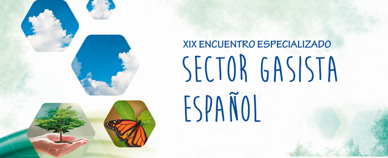 Sector Gasista Español. 19º Encuentro