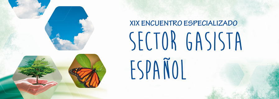 Sector Gasista Español. 19º Encuentro