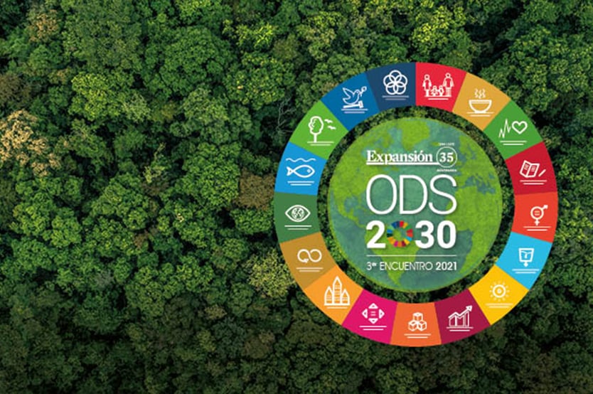 El liderazgo empresarial en la agenda de los ODS2030. Los ODS en la agenda del CEO